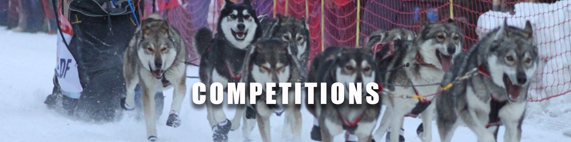 Competitions chiens de traîneau et canirando neuchâtel - huskiesport