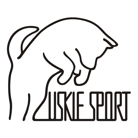 Logo Huskiesport